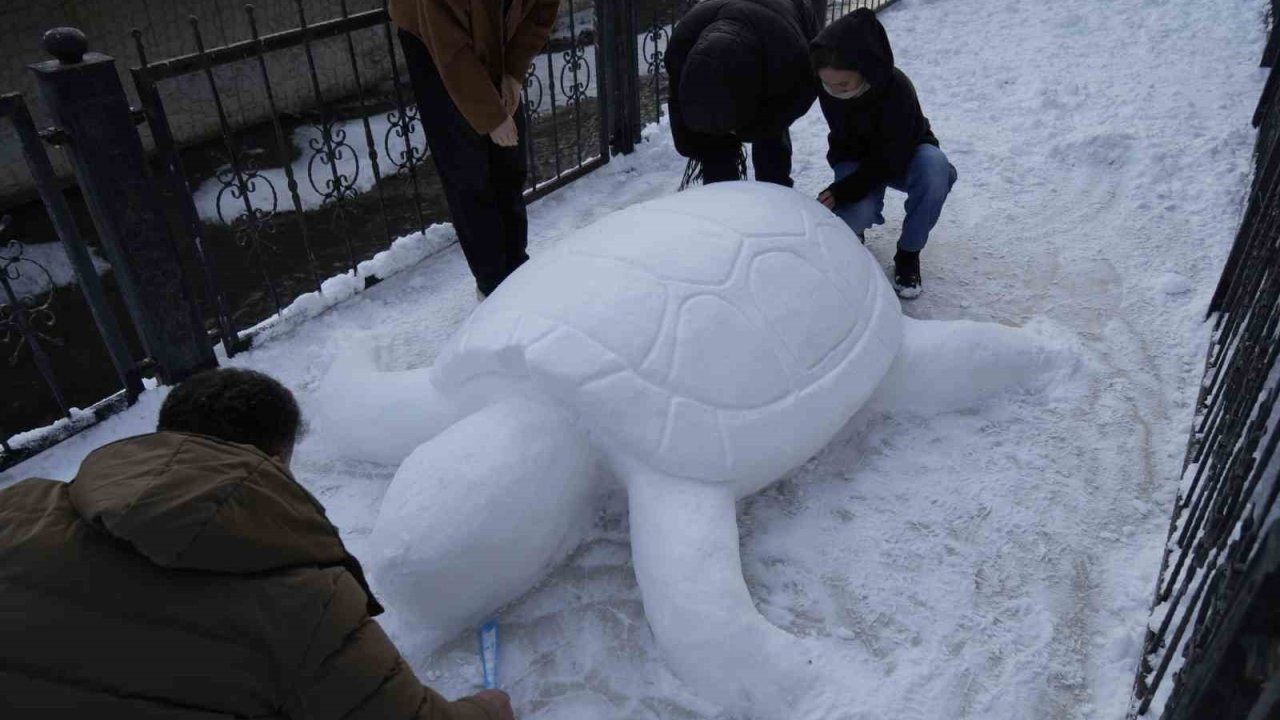 Gümüşhane’de "kardan kaplumbağa" ilgi odağı oldu