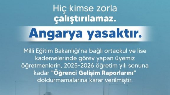 Türk Eğitim Sendikası: "Üyemiz öğretmenlerin, ‘Öğrenci Gelişim Raporlarını’ doldurmamalarına karar verilmiştir"