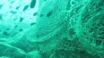 Prof. Dr. Coşkun Erüz: "Karadeniz’in doğal ekosistemini ve biyoçeşitliliğini korumak için hayalet ağları temizlemek gerekli"