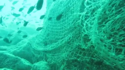 Prof. Dr. Coşkun Erüz: "Karadeniz’in doğal ekosistemini ve biyoçeşitliliğini korumak için hayalet ağları temizlemek gerekli"