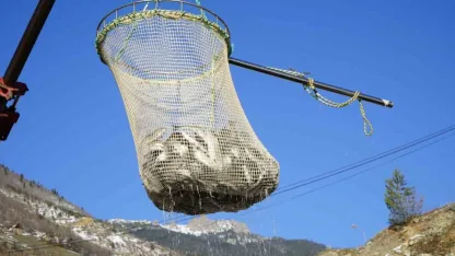 Gümüşhane’de alabalık üretimi 2 bin tona ulaştı