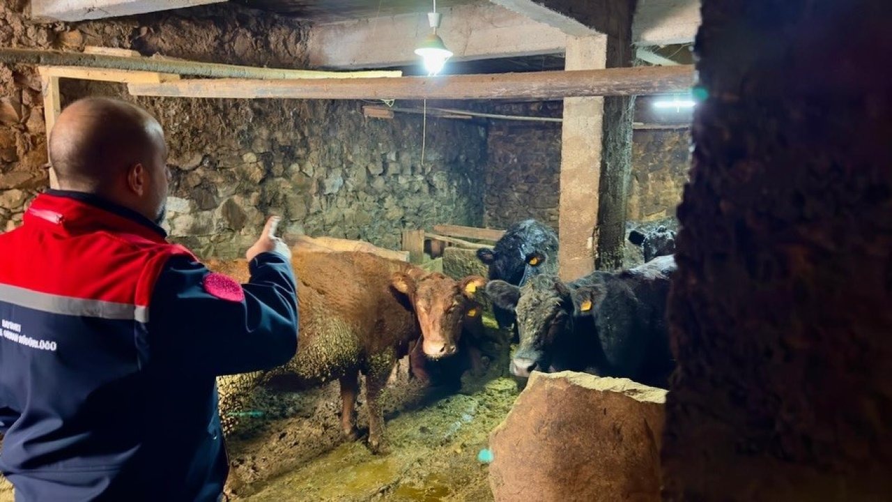 Aydıntepe’de Kırsalda Bereket Projesi ile üretimler devam ediyor