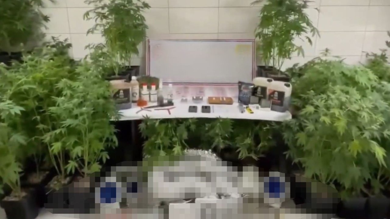 Jandarmadan uyuşturucu operasyonu: Evde üretim düzeneği kurmuş