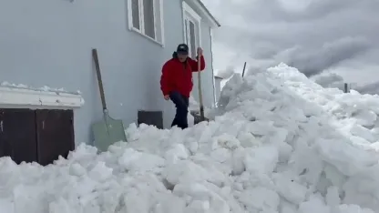 Ayılar bu kez kapıdan değil pencereden girdi