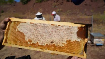 Erzincan Geven Balı coğrafi işaret tescili aldı