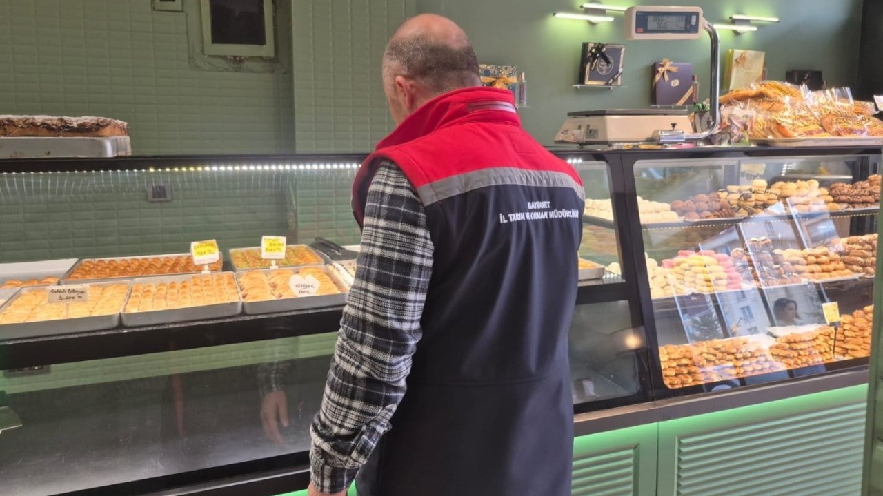 Gıda ve yem işletmelerinde denetimler sürüyor