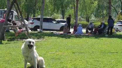 Pazar planları bulutlara takıldı