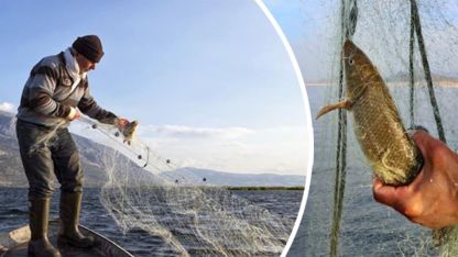 İç sularda av yasağı başladı