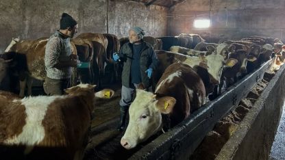 23 köy ile 4 mahallede şap aşılama kampanyası tamamlandı