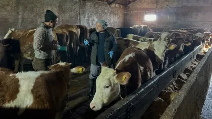 23 köy ile 4 mahallede şap aşılama kampanyası tamamlandı