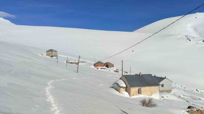 Ayı saldırılarının yaşandığı yaylada ulaşım sorunu sürüyor