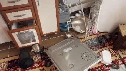 Ayılar Trabzon’da yaylalardan sonra mahallelere dadandı