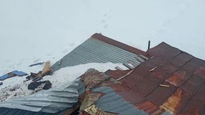 Gümüşhane yaylalarında ayı dehşeti devam ediyor