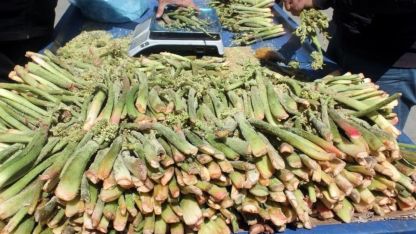 Yüksek rakımın lezzeti tezgâhlarda