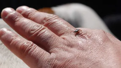 Kene sezonu açıldı