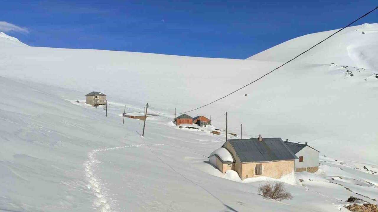 Ayı saldırılarının yaşandığı yaylada ulaşım sorunu sürüyor