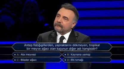 Kim Milyoner Olmak İster 500 Bin TL'lik Kaju Sorusu: Bilader Ağacı Nedir?