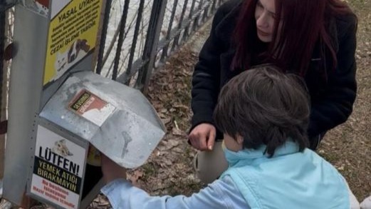 Özel öğrencilerden sokak hayvanlarına mama desteği