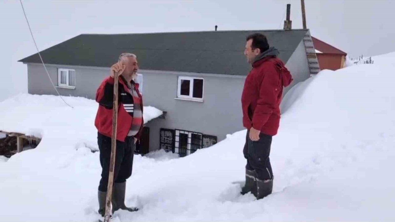 Torul’da kar altında ayı nöbeti