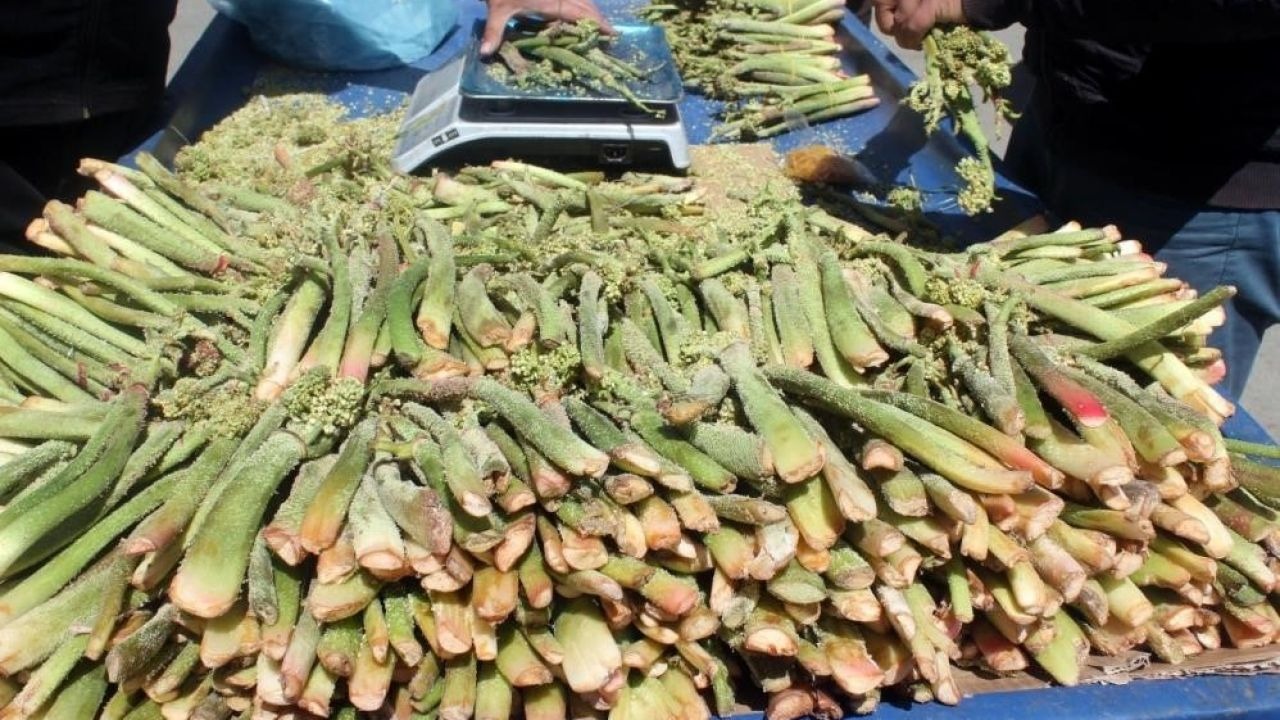 Yüksek rakımın lezzeti tezgâhlarda