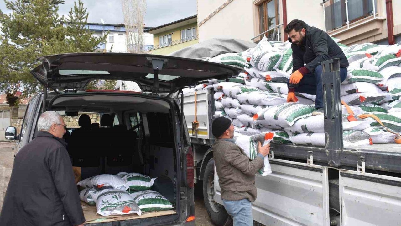 Yüzde 75 hibeli nohut tohumu dağıtıldı