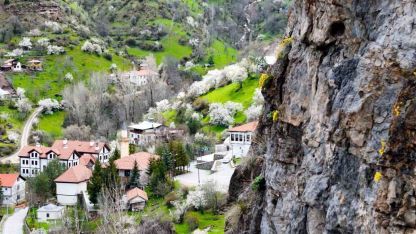 Gümüşhane’de taştan fışkıran ’draba çiçekleri’ ilgi çekiyor
